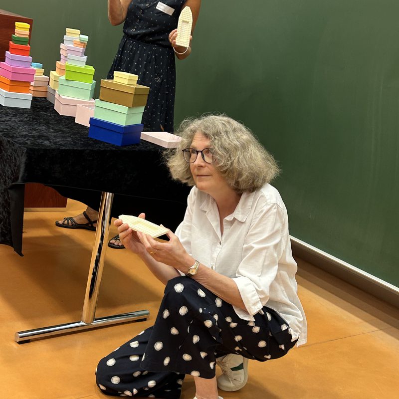 bag-tagung-multifamilientherapie249